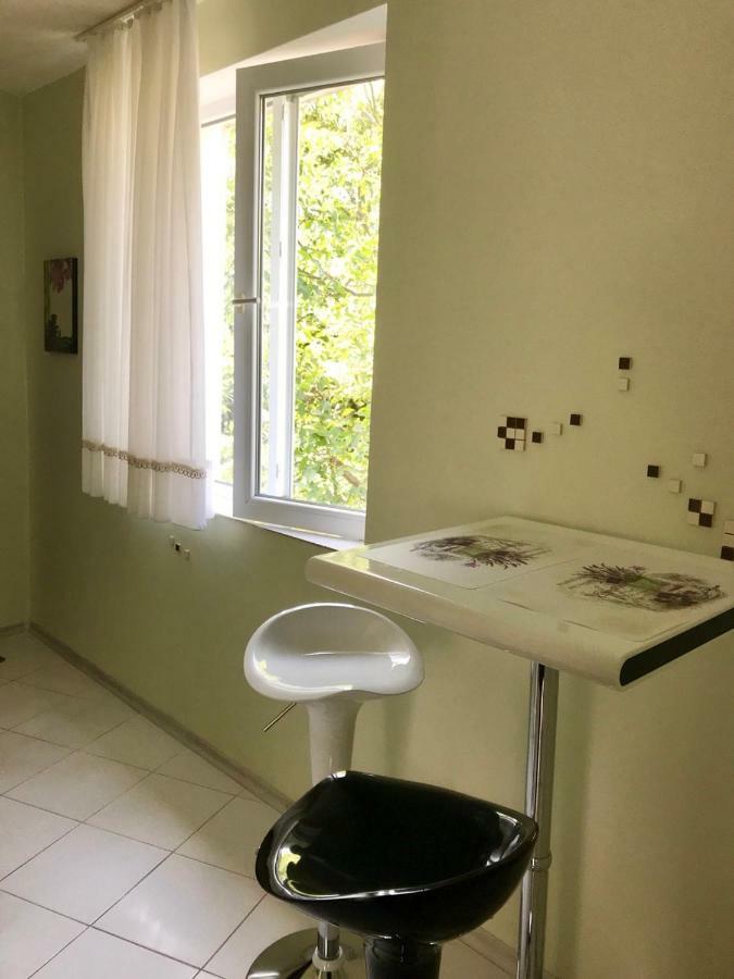 Helga Apartment オブゾー エクステリア 写真